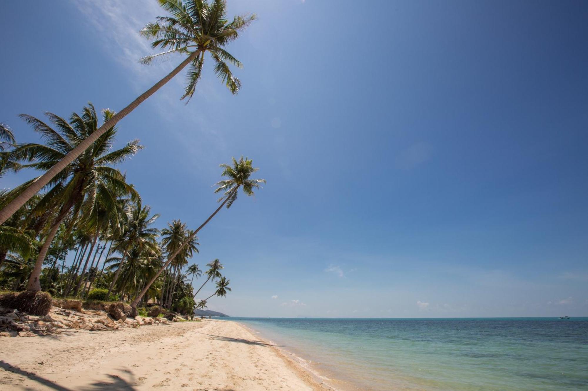 Sea&Sky Beach Resort Mae Nam Beach Exterior foto
